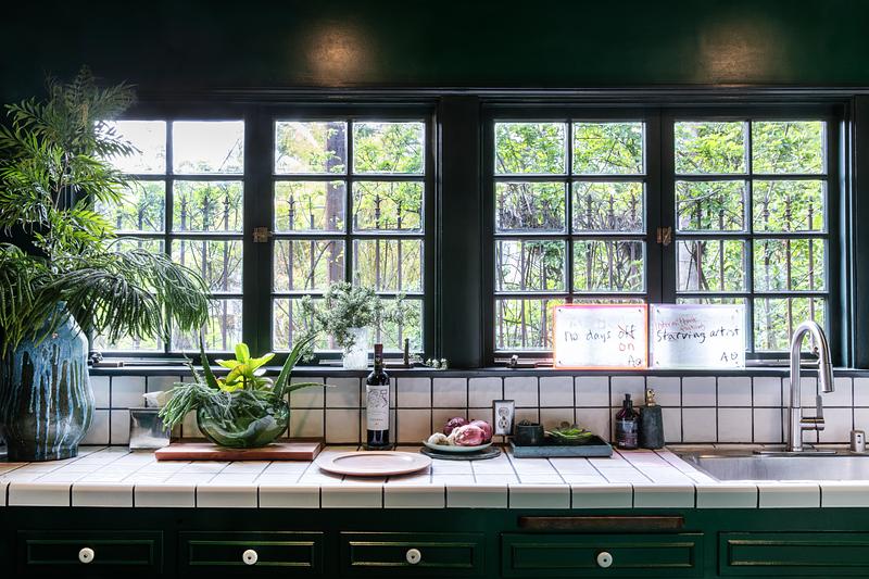 Transforming the Zappa Nest: A Colorful&nbsp;Journey