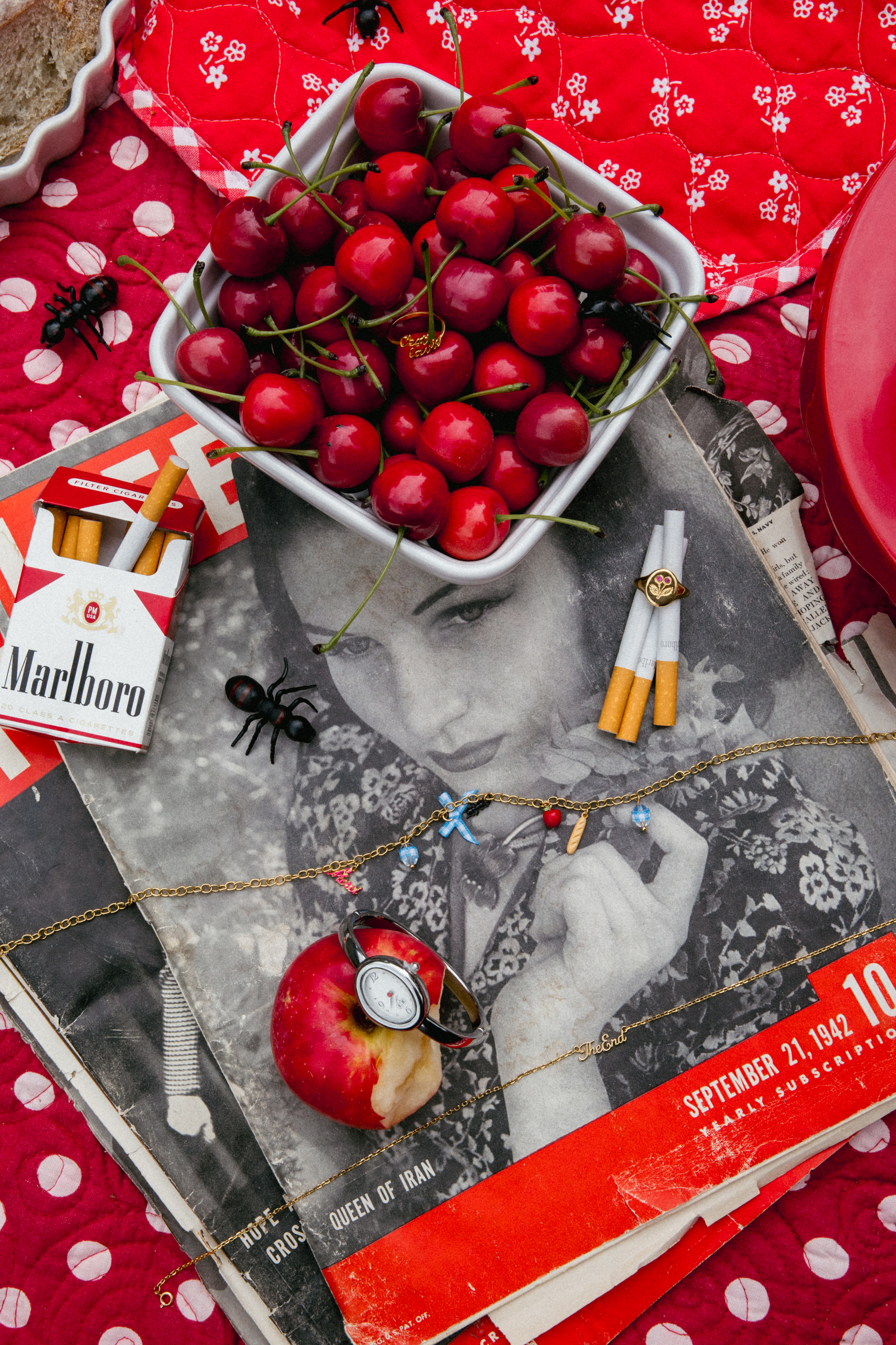 The Last Picnic: Elizabeth Bay Wants You to Come Hungry (and Dressed Cute)